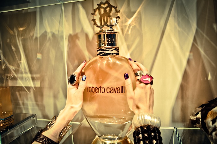 robertocavalli