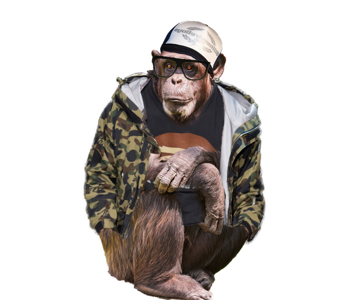 nigo