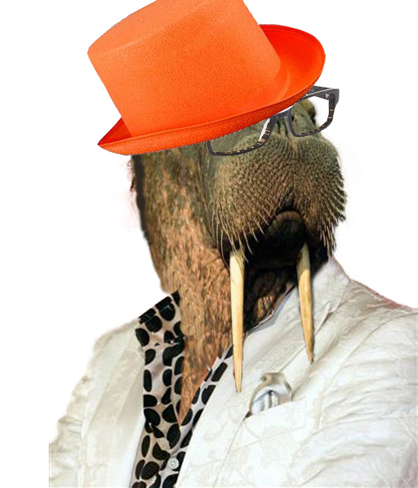 don konishi walrus